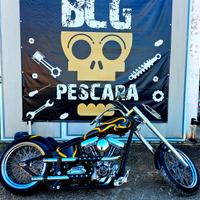 Harley-davidson special