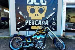 Harley-davidson special