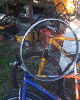 mtb uomo