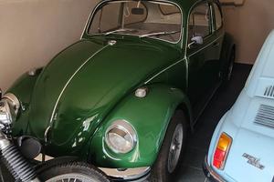 maggiolino maggiolone