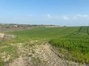 terreno-nei-pressi-della-s-s-17-rif-857