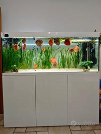 Acquario Amtra Alux450L