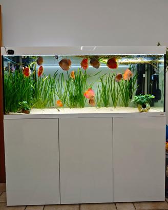 Acquario Amtra Alux450L