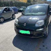 Panda 1.2 gpl  polonia