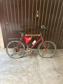 Bici sterrato