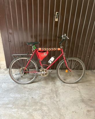 Bici sterrato