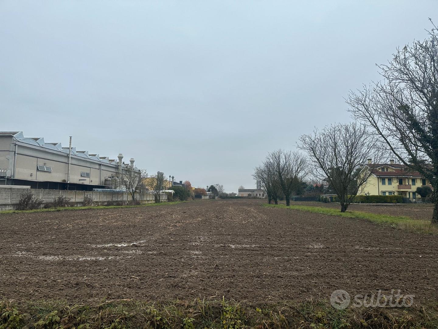 Terreno agricolo cartura cagnola - Vista 4