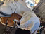 Immagine 18