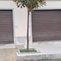 DUE SERRANDE IN FERRO MOTORIZZATE