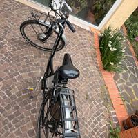 Bici elettrica
