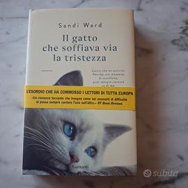 Romanzo "Il gatto che soffiava via la tristezza"