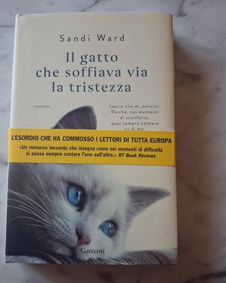 Romanzo "Il gatto che soffiava via la tristezza"