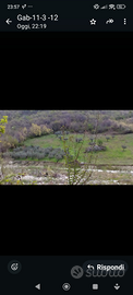 Terreno agricolo in abruzzo