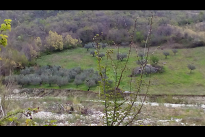 Terreno agricolo in abruzzo