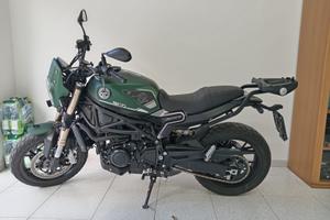 BENELLI LEONCINO 800