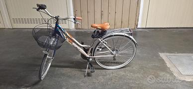 Bicicletta da passeggio con cestino