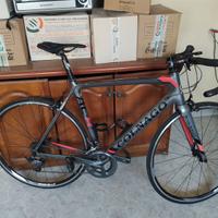 Colnago AC-R