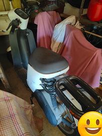 Askoll es pro 70