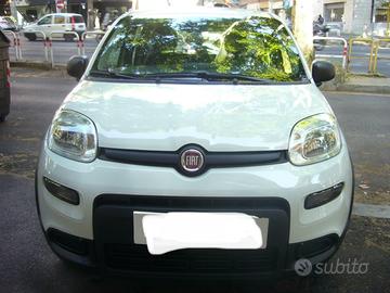 Fiat Panda 1200 Gpl anno 2024