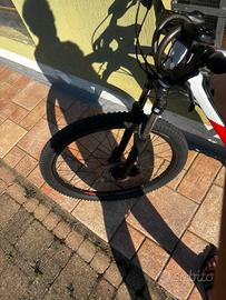 st 100 pedalata assistita