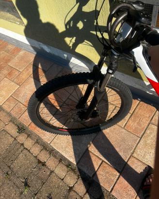 st 100 pedalata assistita