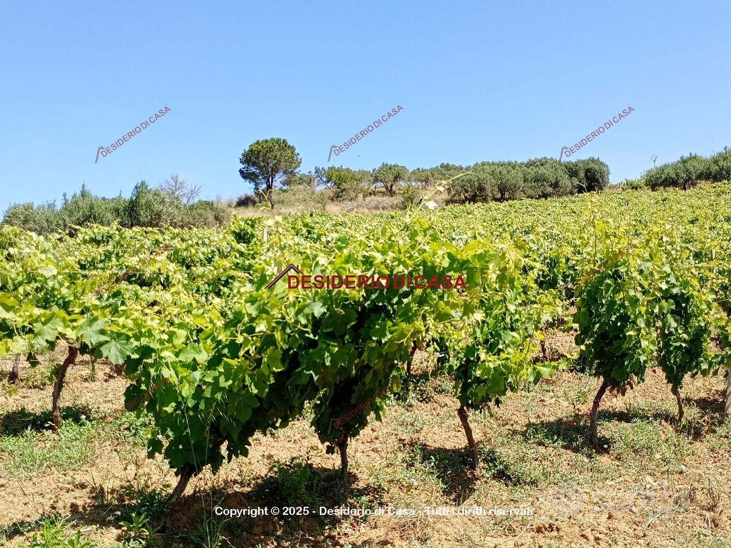 Terreno, Alcamo. - Vista 4