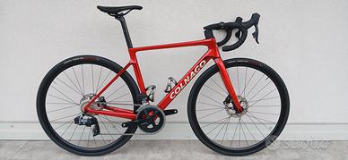 colnago v4 