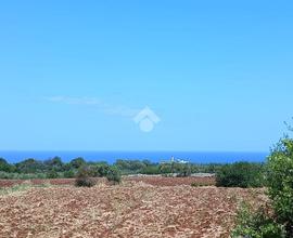 TER. AGRICOLO A POLIGNANO A MARE