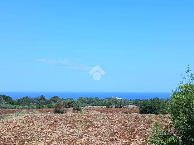 TER. AGRICOLO A POLIGNANO A MARE