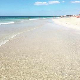 Aggiornamento Disponibilità villino Fronte Mare