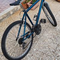 bicicletta MTB 