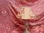 Immagine 14