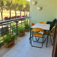 Metaponto mare appartamento 2 camere terrazzo