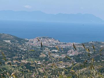 Terreno edificabile con progetto approvato
