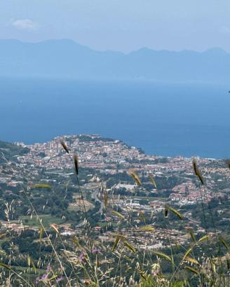 Terreno edificabile con progetto approvato