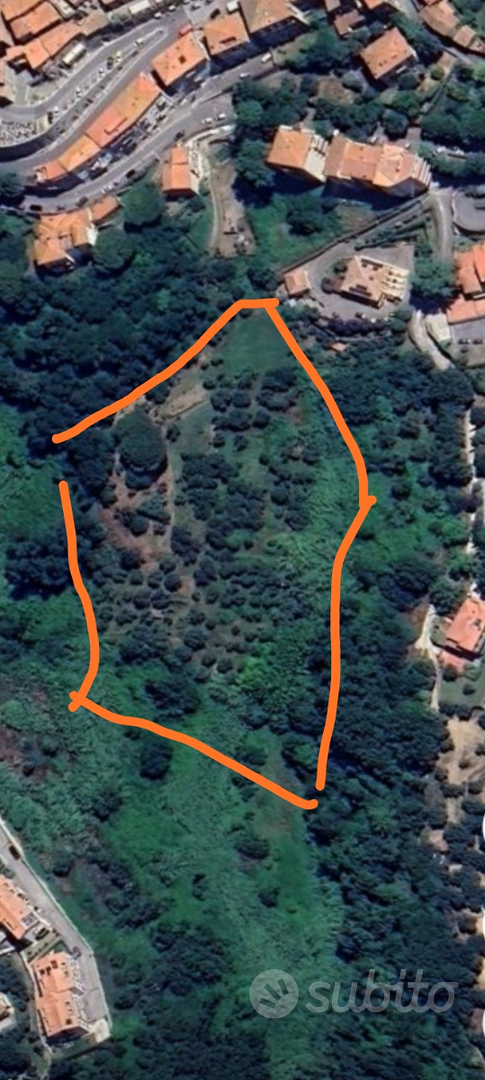 Ampio terreno con 100 piante di olivi edificabiei - Vista 4
