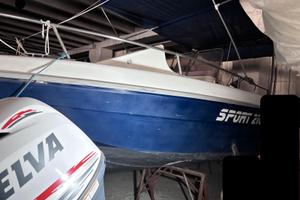 Barca a motore 21 piedi