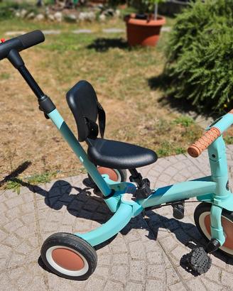 Triciclo evolutivo
