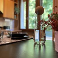 Singola con letto matrimoniale in esclusivo attico