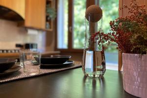 Singola con letto matrimoniale in esclusivo attico