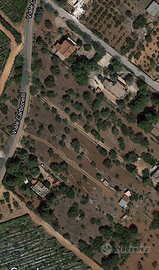 Terreno agricolo Contrada Carbonelli Conversano