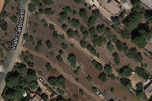 Terreno agricolo Contrada Carbonelli Conversano