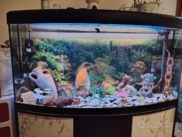 acquario 250 / 300 litri