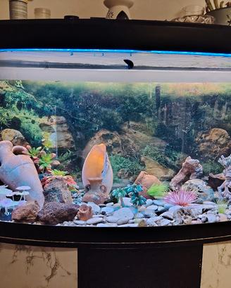 acquario 250 / 300 litri