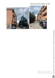 Tbn 13/2024 lotto 3 capannone