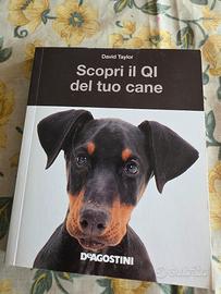 Scopri il QI del tuo cane