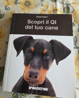Scopri il QI del tuo cane