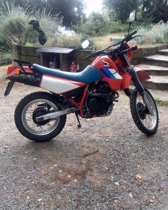 Honda xl 600