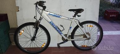 Mountain bike anni '90