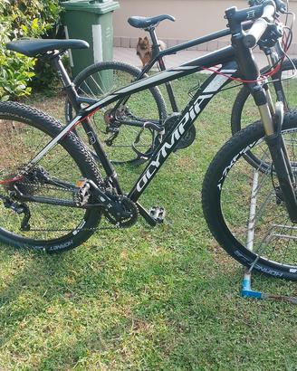 MTB 29 